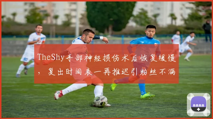 TheShy手部神经损伤术后恢复缓慢,复出时间表一再推迟引粉丝不满